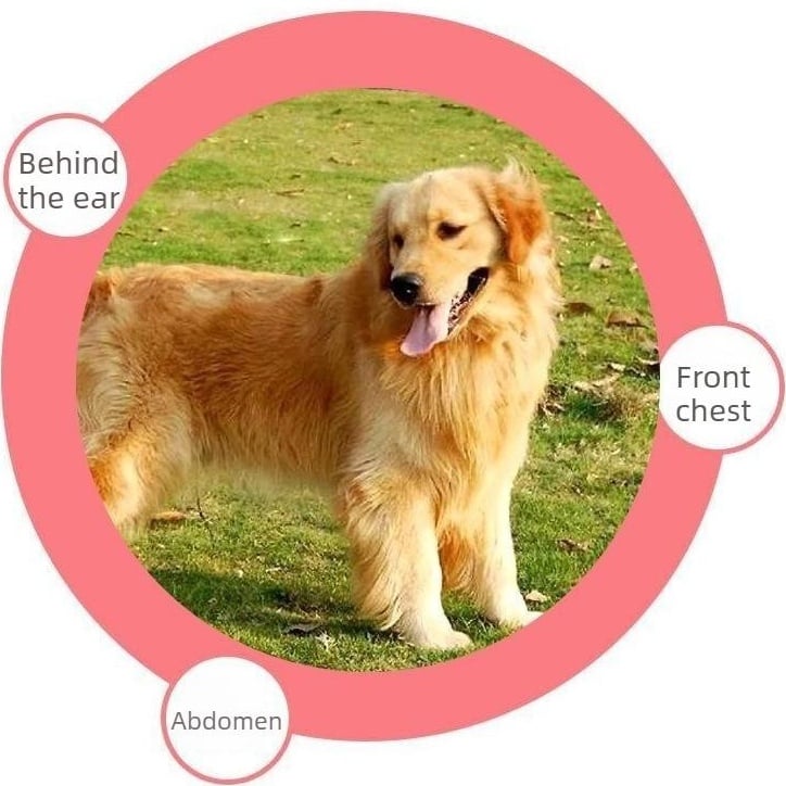 🔥HOT SALE 55% OFF🐱🐶Universal Pet Detangling Comb✨