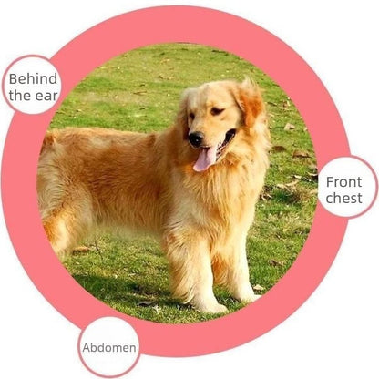 🔥HOT SALE 55% OFF🐱🐶Universal Pet Detangling Comb✨